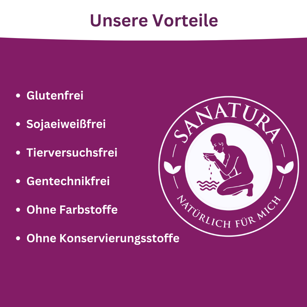 Sanatura FruitCubes Feige-Pflaume Verdauung* 24er