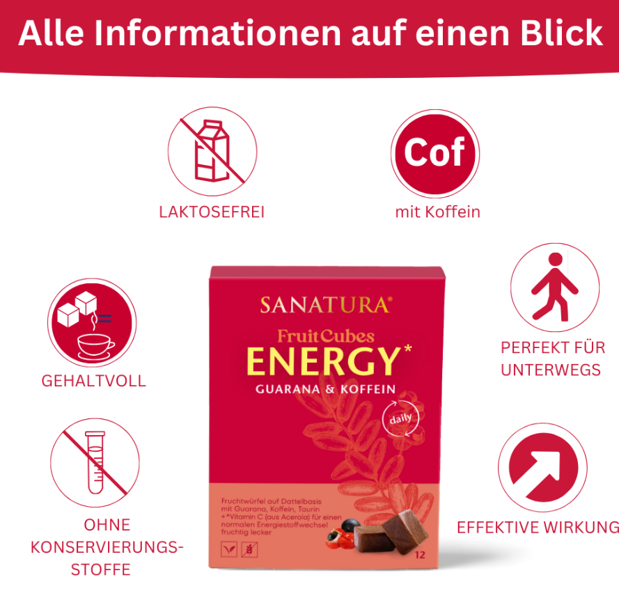 Sanatura FruitCubes Energy* 12er