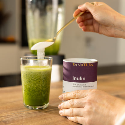 Sanatura Inulin 250g