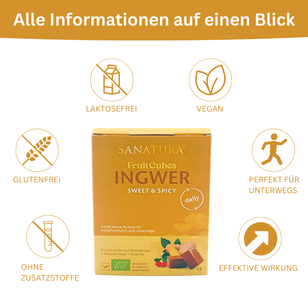 Sanatura FruitCubes Bio Ingwer 12er