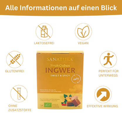 Sanatura FruitCubes Bio Ingwer 12er