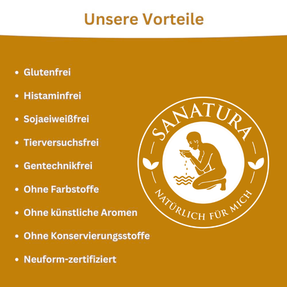 Sanatura FruitCubes Bio Ingwer 12er