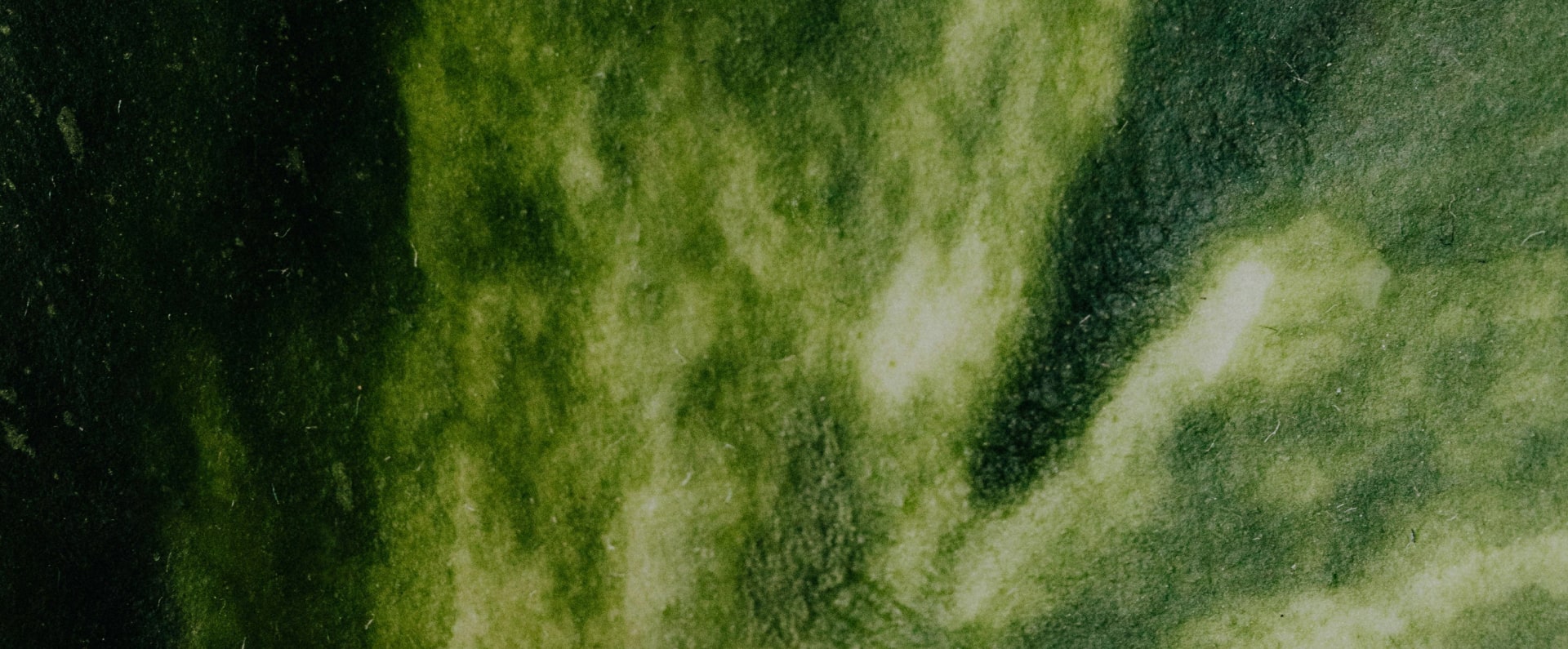 Detailaufnahme einer grünen, texturierten Oberfläche